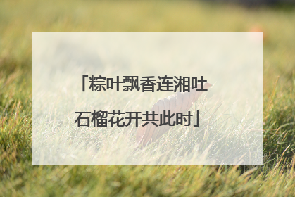 粽叶飘香连湘吐 石榴花开共此时