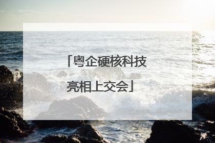 粤企硬核科技亮相上交会
