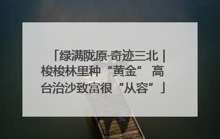 绿满陇原·奇迹三北｜梭梭林里种“黄金” 高台治沙致富很“从容”