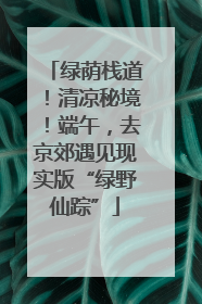 绿荫栈道！清凉秘境！端午，去京郊遇见现实版“绿野仙踪”