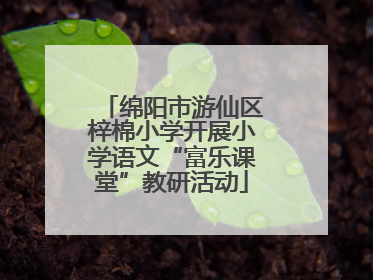绵阳市游仙区梓棉小学开展小学语文“富乐课堂”教研活动