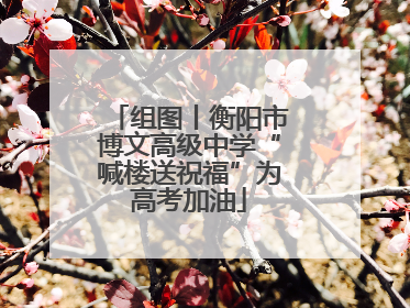 组图丨衡阳市博文高级中学“喊楼送祝福”为高考加油