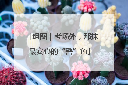 组图｜考场外，那抹最安心的“警”色