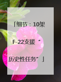 细节：10架F-22支援“历史性任务”