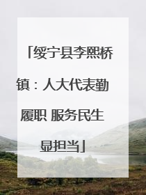 绥宁县李熙桥镇：人大代表勤履职 服务民生显担当