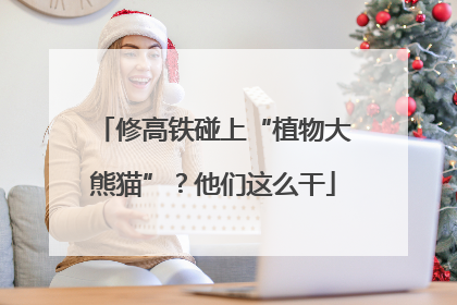 修高铁碰上“植物大熊猫”？他们这么干