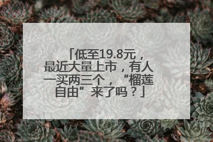 低至19.8元，最近大量上市，有人一买两三个，“榴莲自由”来了吗？