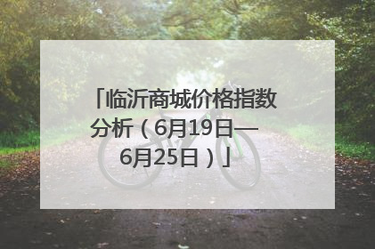 临沂商城价格指数分析（6月19日—6月25日）
