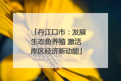 丹江口市：发展生态鱼养殖 激活库区经济新动能