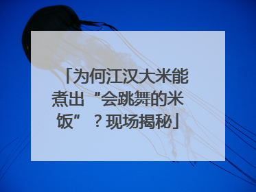 为何江汉大米能煮出“会跳舞的米饭”？现场揭秘