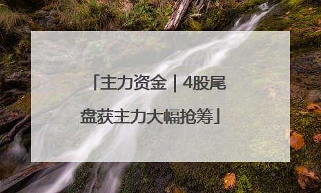 主力资金｜4股尾盘获主力大幅抢筹