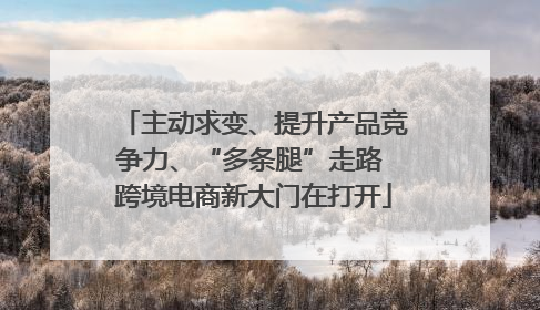 主动求变、提升产品竞争力、“多条腿”走路 跨境电商新大门在打开