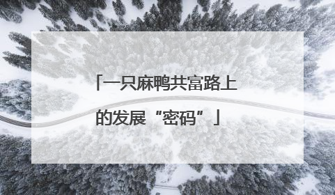 一只麻鸭共富路上的发展“密码”