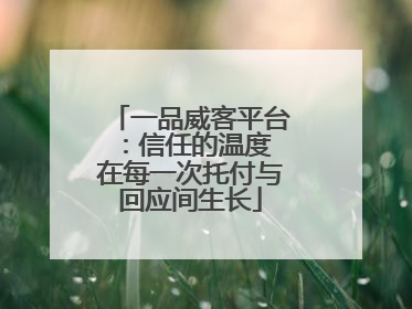 一品威客平台：信任的温度 在每一次托付与回应间生长