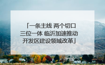 一条主线 两个切口 三位一体 临沂加速推动开发区建设领域改革