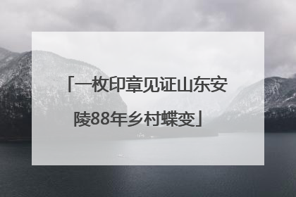一枚印章见证山东安陵88年乡村蝶变