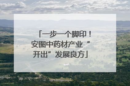一步一个脚印！安图中药材产业“开出”发展良方
