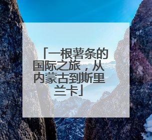一根薯条的国际之旅，从内蒙古到斯里兰卡