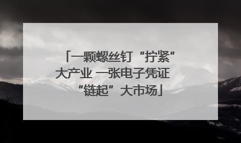 一颗螺丝钉“拧紧”大产业 一张电子凭证“链起”大市场