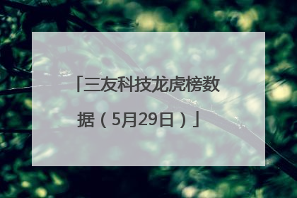 三友科技龙虎榜数据（5月29日）
