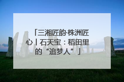 三湘匠韵·株洲匠心丨石天宝：稻田里的“追梦人”