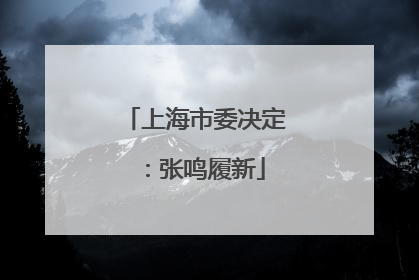 上海市委决定：张鸣履新