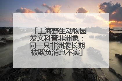 上海野生动物园发文科普非洲象：同一只非洲象长期被欺负消息不实