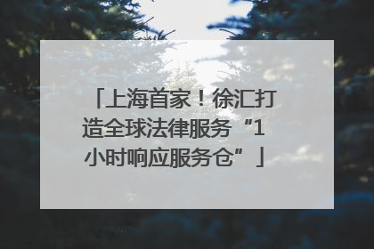 上海首家！徐汇打造全球法律服务“1小时响应服务仓”