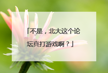 不是，北大这个论坛真打游戏啊？