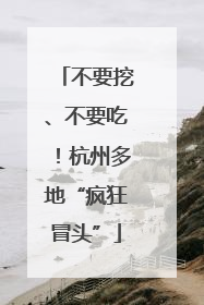 不要挖、不要吃！杭州多地“疯狂冒头”