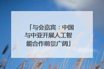与会嘉宾：中国与中亚开展人工智能合作前景广阔