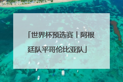 世界杯预选赛丨阿根廷队平哥伦比亚队