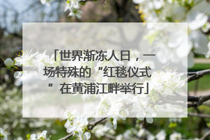 世界渐冻人日，一场特殊的“红毯仪式”在黄浦江畔举行