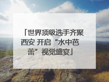 世界顶级选手齐聚西安 开启“水中芭蕾”视觉盛宴