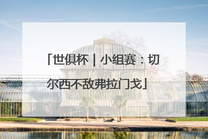 世俱杯｜小组赛：切尔西不敌弗拉门戈