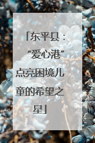 东平县：“爱心港”点亮困境儿童的希望之星