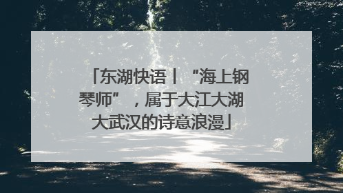 东湖快语丨“海上钢琴师”，属于大江大湖大武汉的诗意浪漫