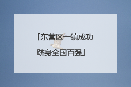 东营区一镇成功跻身全国百强