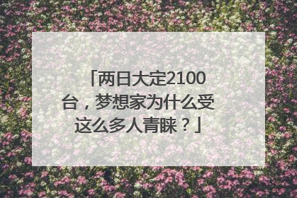 两日大定2100台，梦想家为什么受这么多人青睐？
