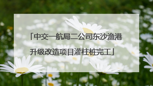 中交一航局二公司东沙渔港升级改造项目灌柱桩完工