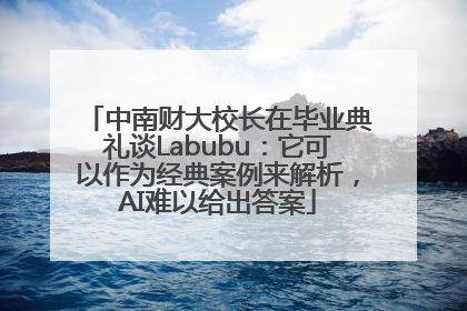 中南财大校长在毕业典礼谈Labubu：它可以作为经典案例来解析，AI难以给出答案