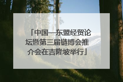 中国—东盟经贸论坛暨第三届链博会推介会在吉隆坡举行