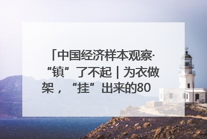 中国经济样本观察·“镇”了不起｜为衣做架，“挂”出来的80亿元“衣架产业”