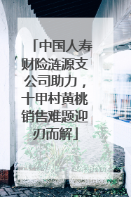 中国人寿财险涟源支公司助力，十甲村黄桃销售难题迎刃而解