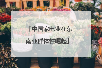 中国家电业在东南亚群体性崛起