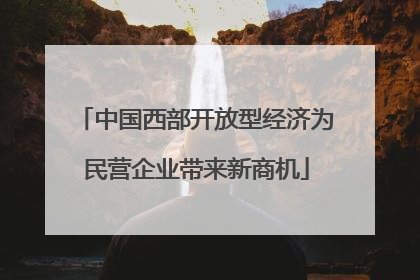 中国西部开放型经济为民营企业带来新商机