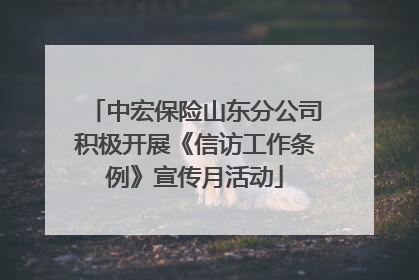 中宏保险山东分公司积极开展《信访工作条例》宣传月活动