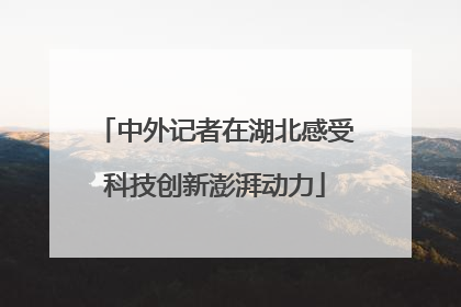 中外记者在湖北感受科技创新澎湃动力