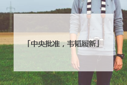 中央批准，韦韬履新