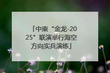 中柬“金龙-2025”联演举行海空方向实兵演练